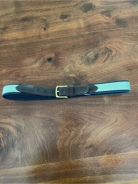 Vineyard Vines Men's Casual Woven Belt Navy & Mint Green with Brown Leather Trim